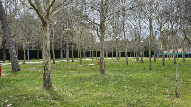 Parcelas del camping de Quintanar
